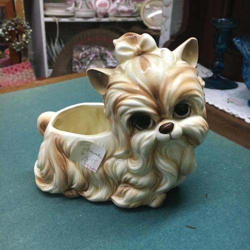 yorkie puppy planter antiquie